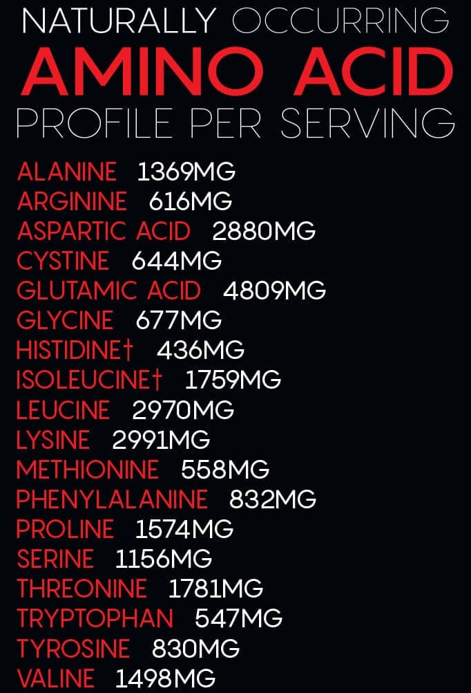 Insane Iso - Premium Whey Isolate (60 svgs) - Image 4